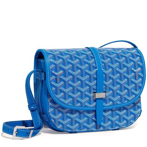 goyard necessity bag.